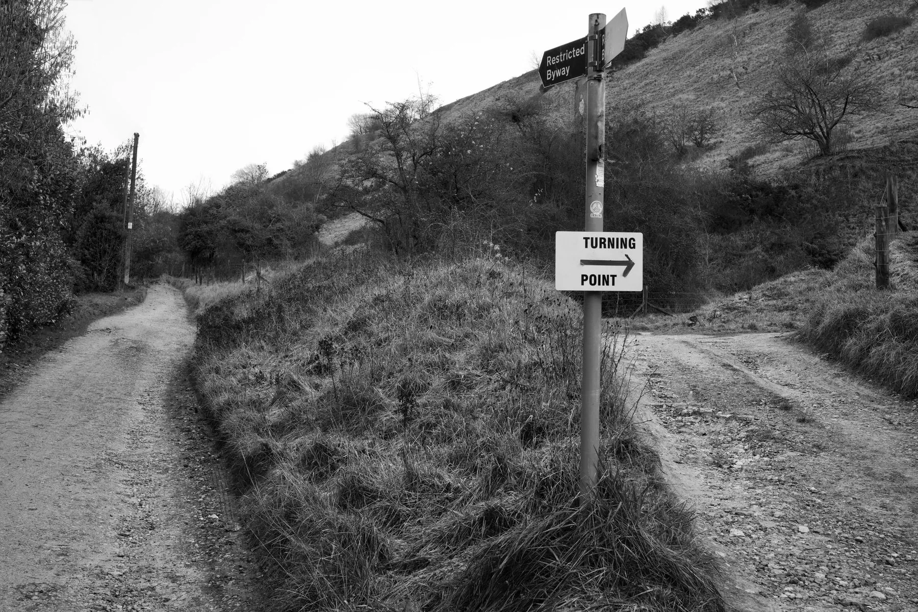 A path dividing in two, illustrating choosing between surgical and non-surgical routes.