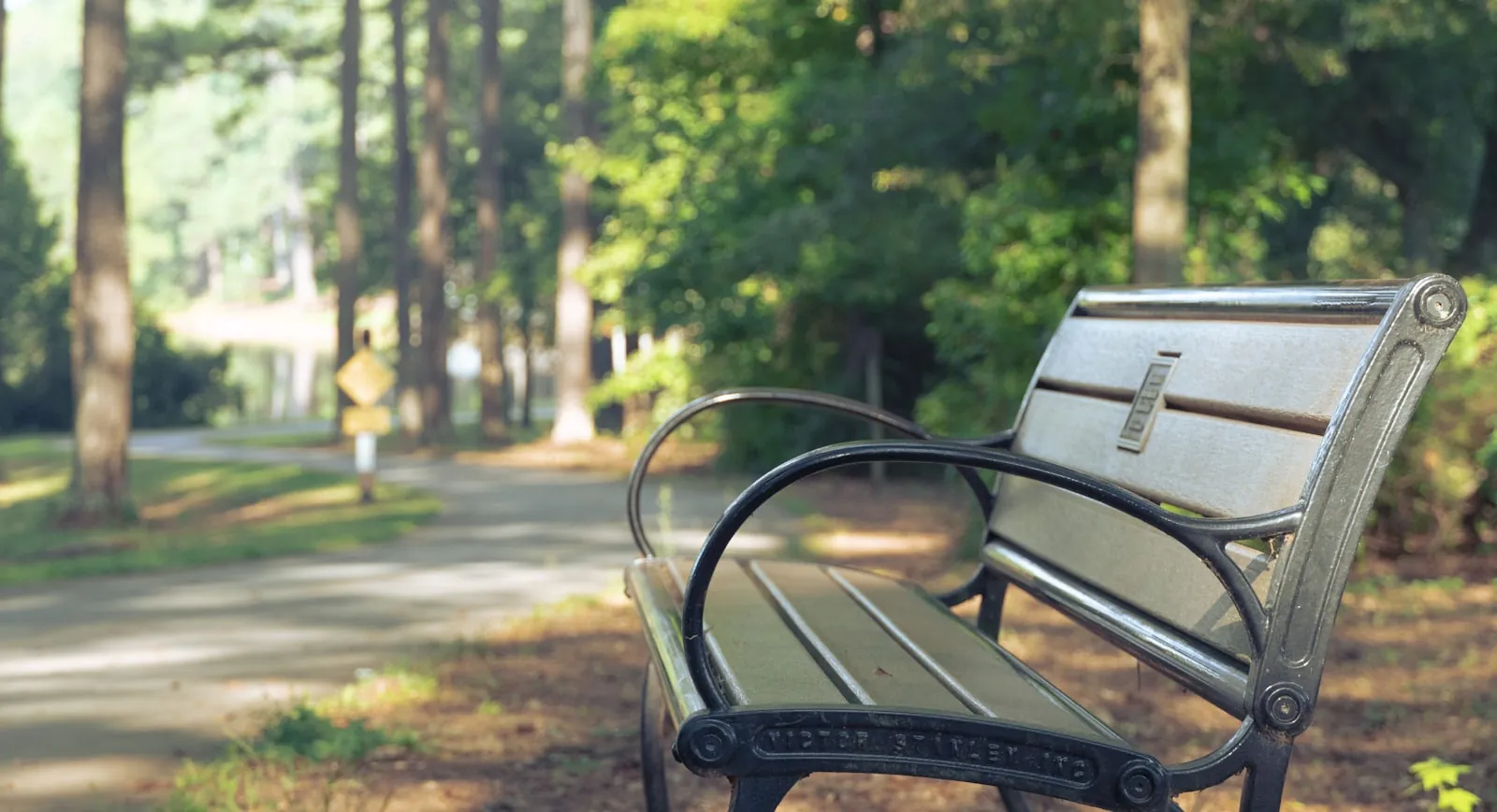 An empty bench in morning light, illustrating waiting as a legitimate decision.