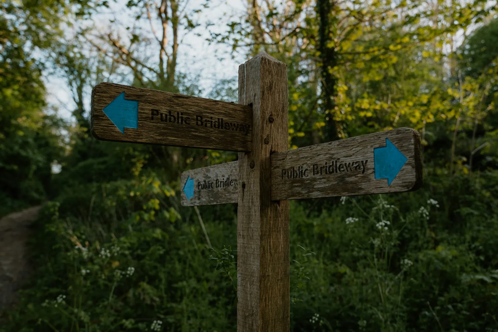 A signpost pointing two ways, illustrating choosing between surgical and non-surgical routes.