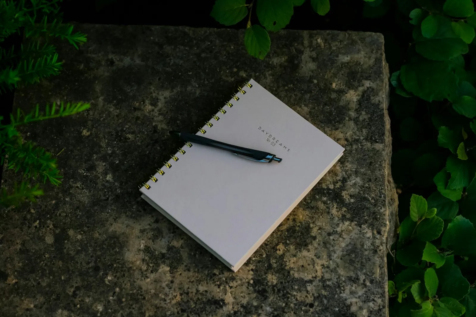 An open notebook, illustrating writing down what to bring to an assessment.