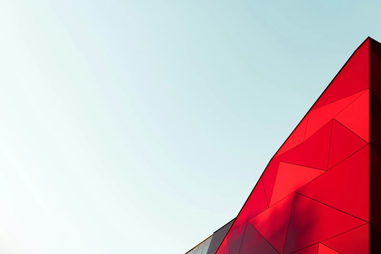 A single flag against a plain background, illustrating the warning signs worth noticing.