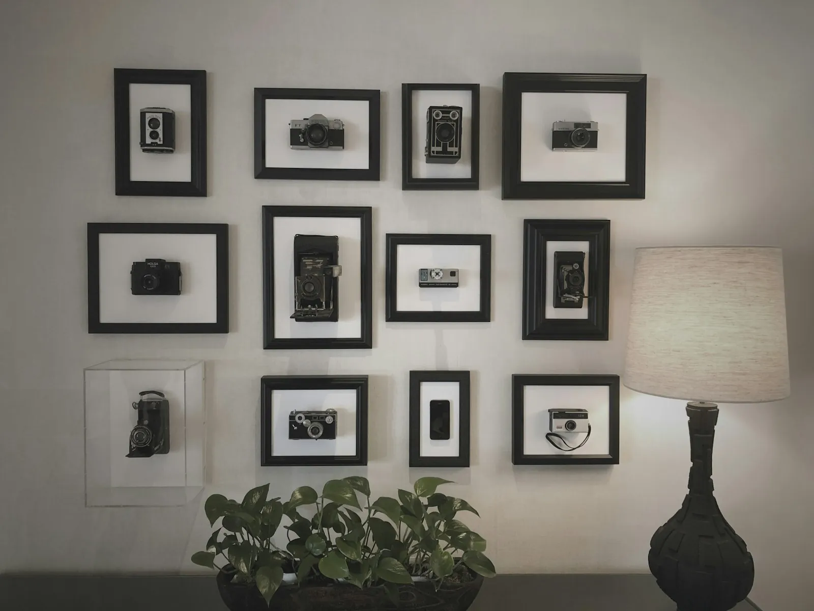 Certificates on a wall, illustrating verifying a surgeon registration.