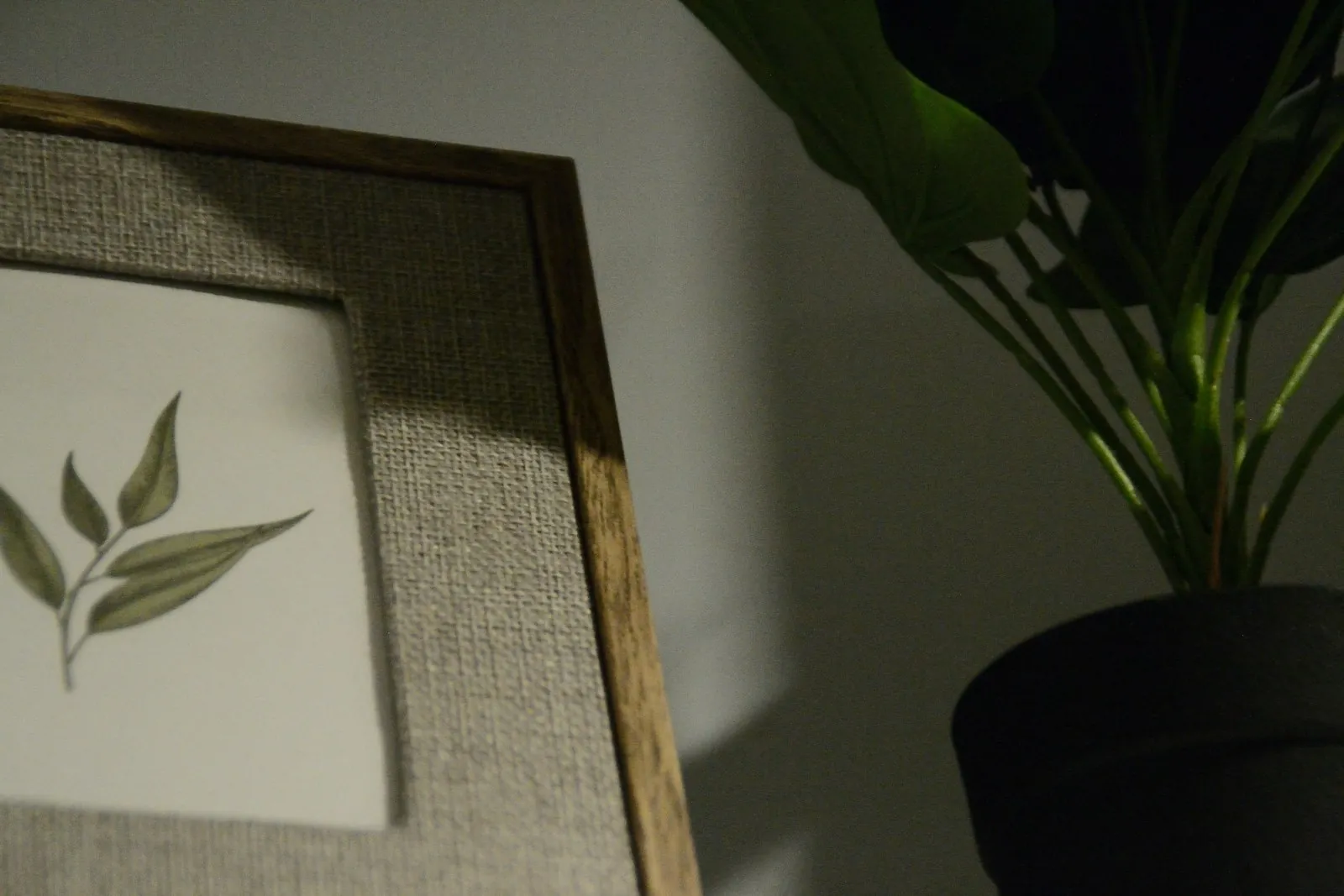 A framed certificate on a consulting room wall, illustrating verifying registration.