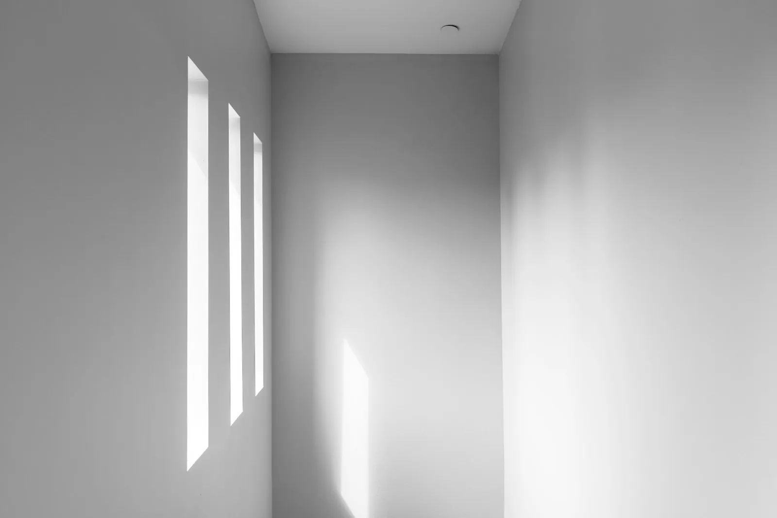 Soft daylight against a plain wall, illustrating the good light an examination requires.