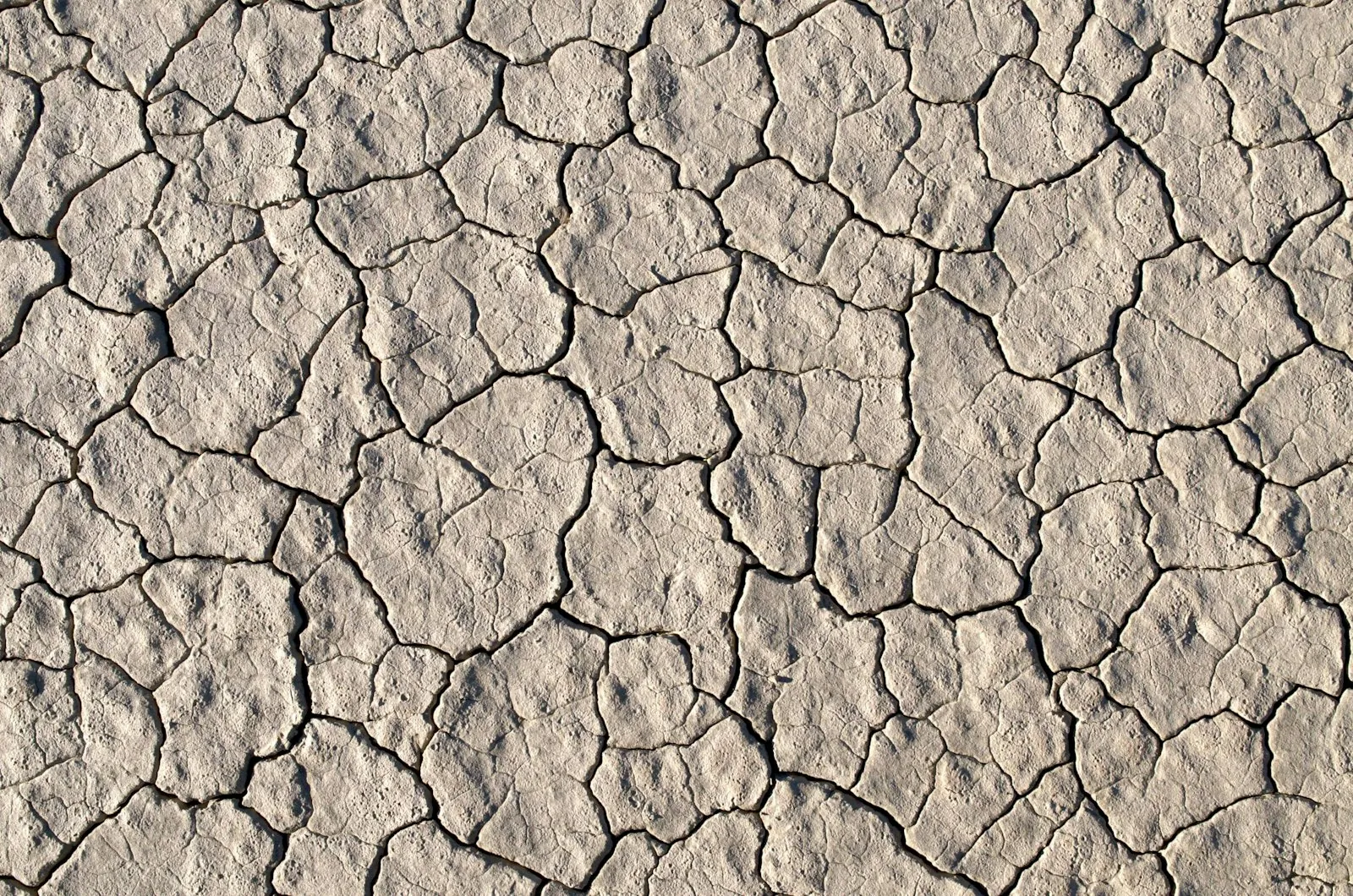 A dry surface, illustrating how cabin air affects the eye surface.