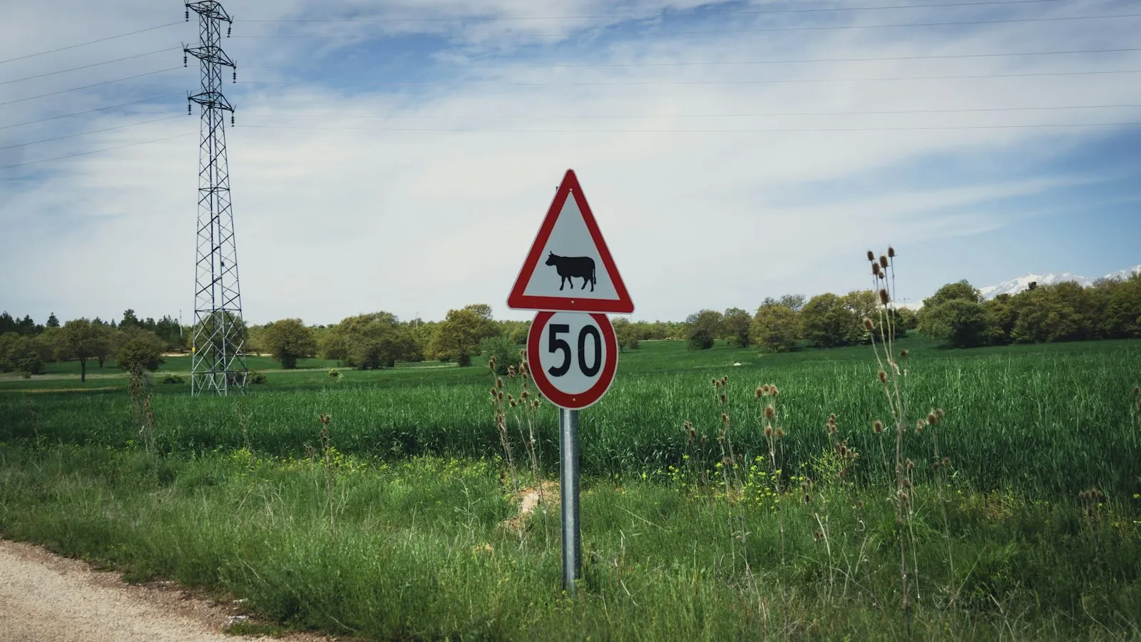 A signpost pointing two ways, illustrating the choice between two clinic locations.