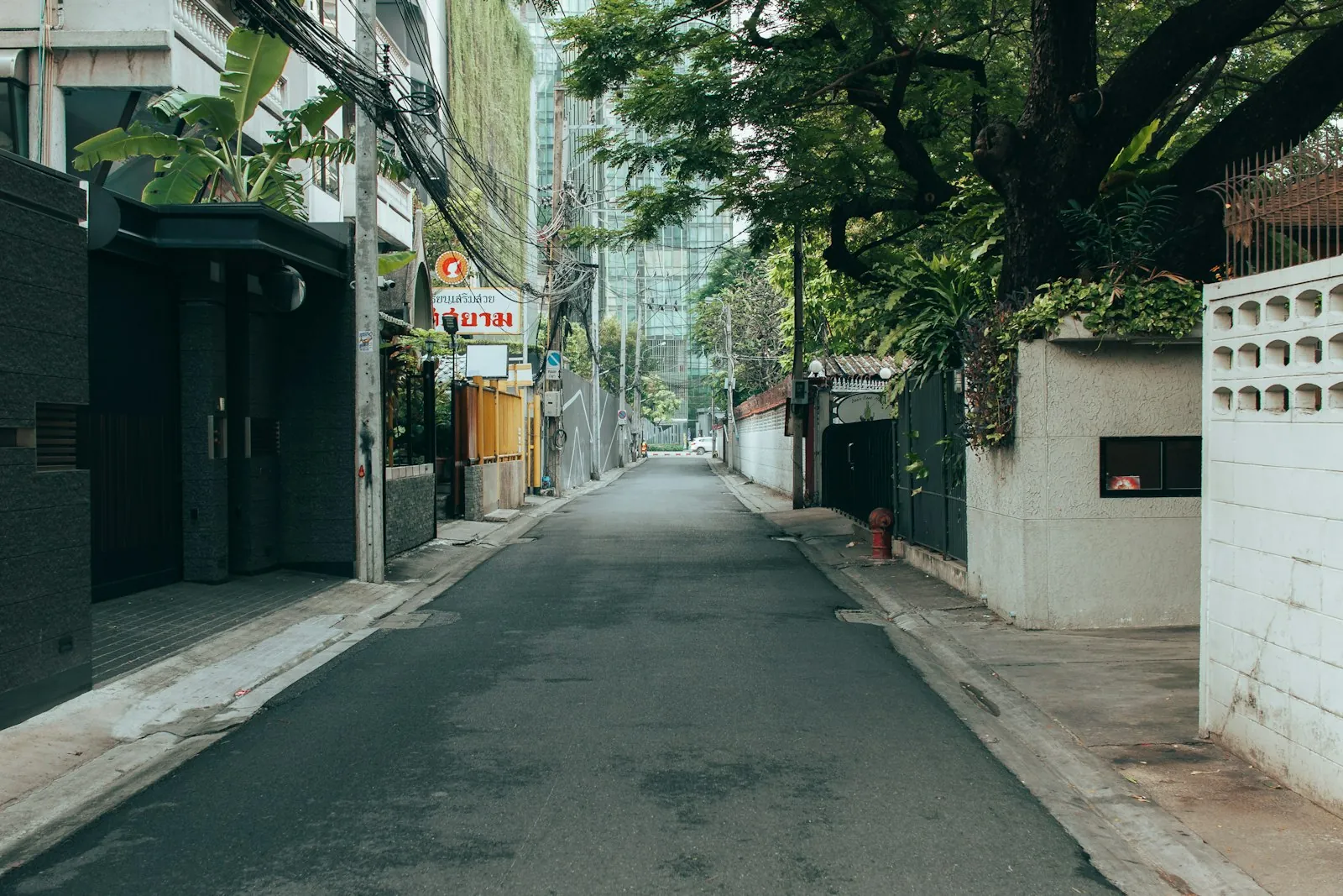 A quiet, empty street in central Bangkok in soft daylight. A photograph of the city, not of the clinic.