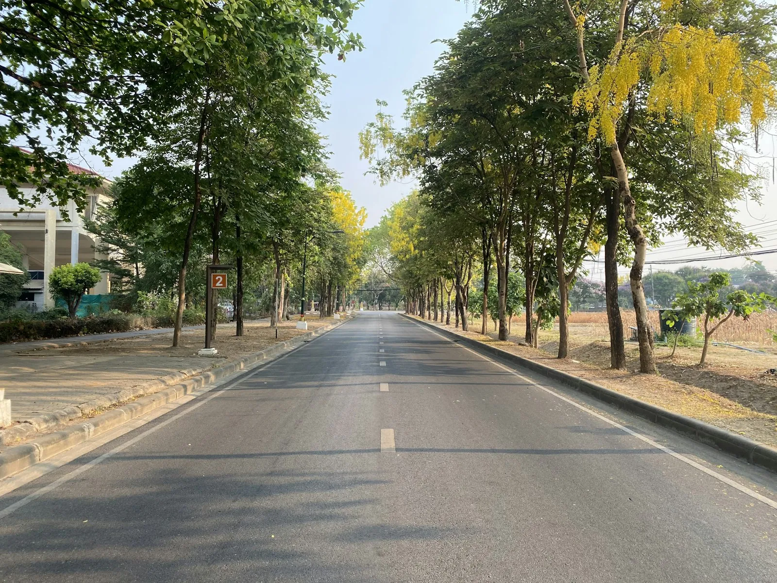 A quiet, tree-lined road in Chiang Mai in soft daylight. A photograph of the city, not of the clinic.