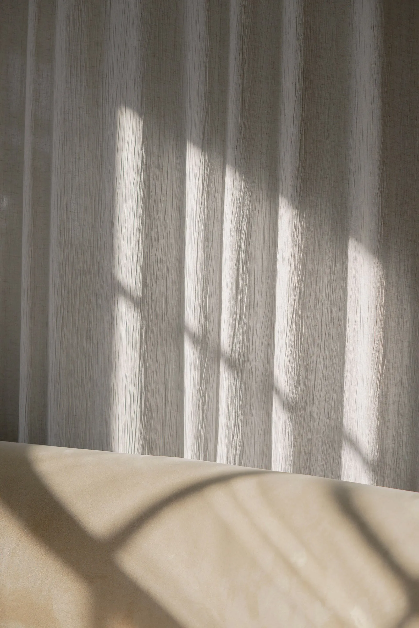 A quiet room with soft window light.
