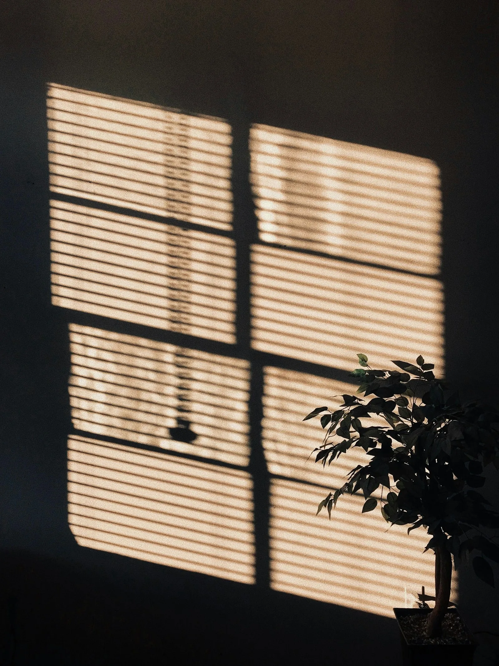 Sunlight falling through blinds onto a wall.