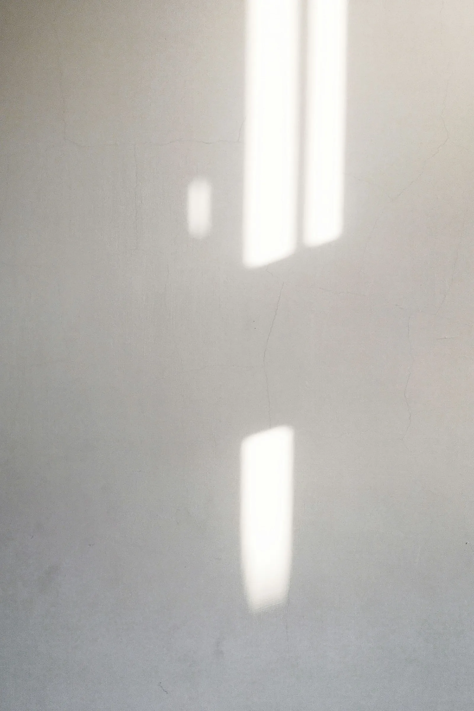 Gentle light and shadow across a pale wall.