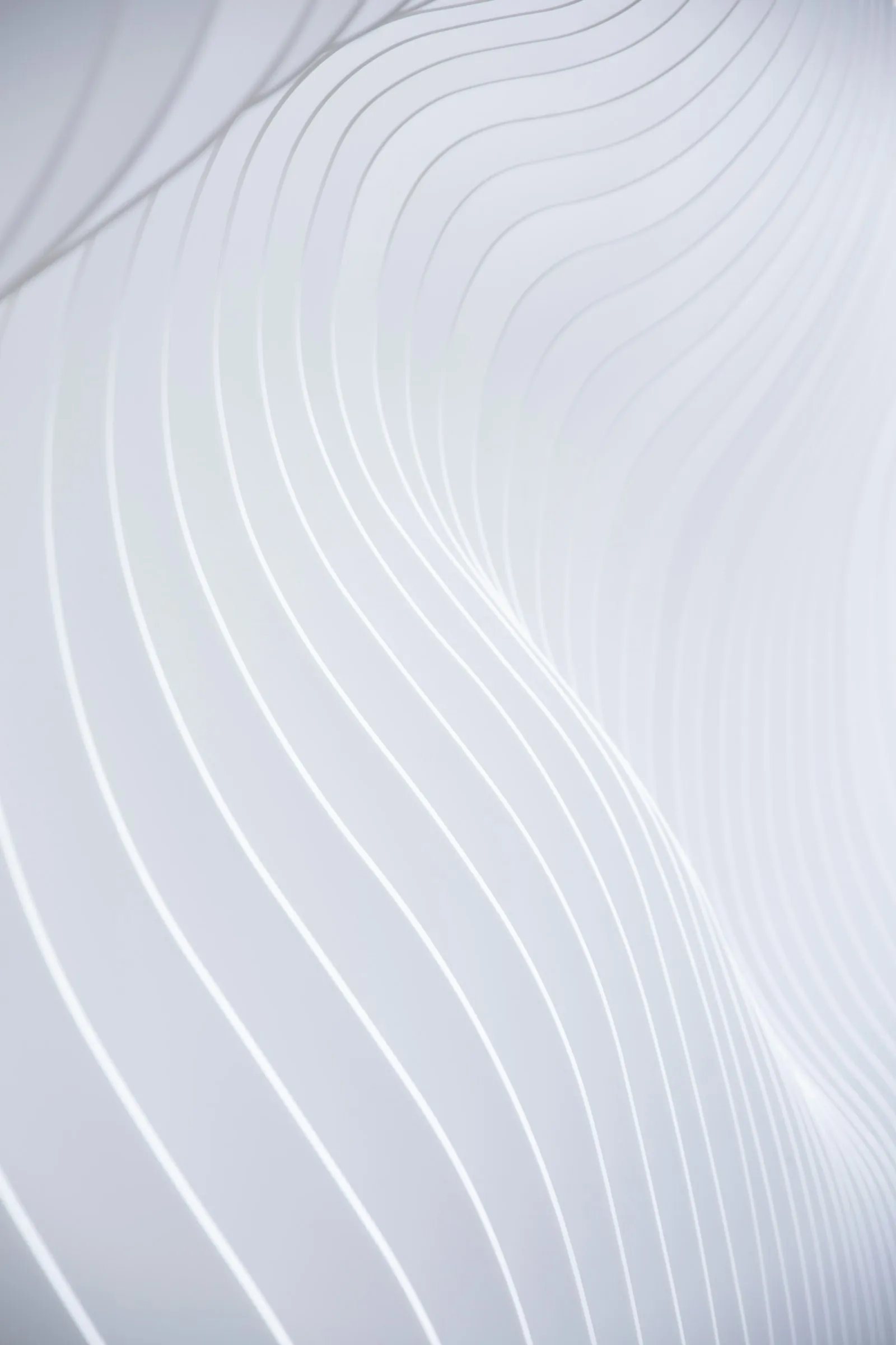 A smooth plaster curve in soft light.