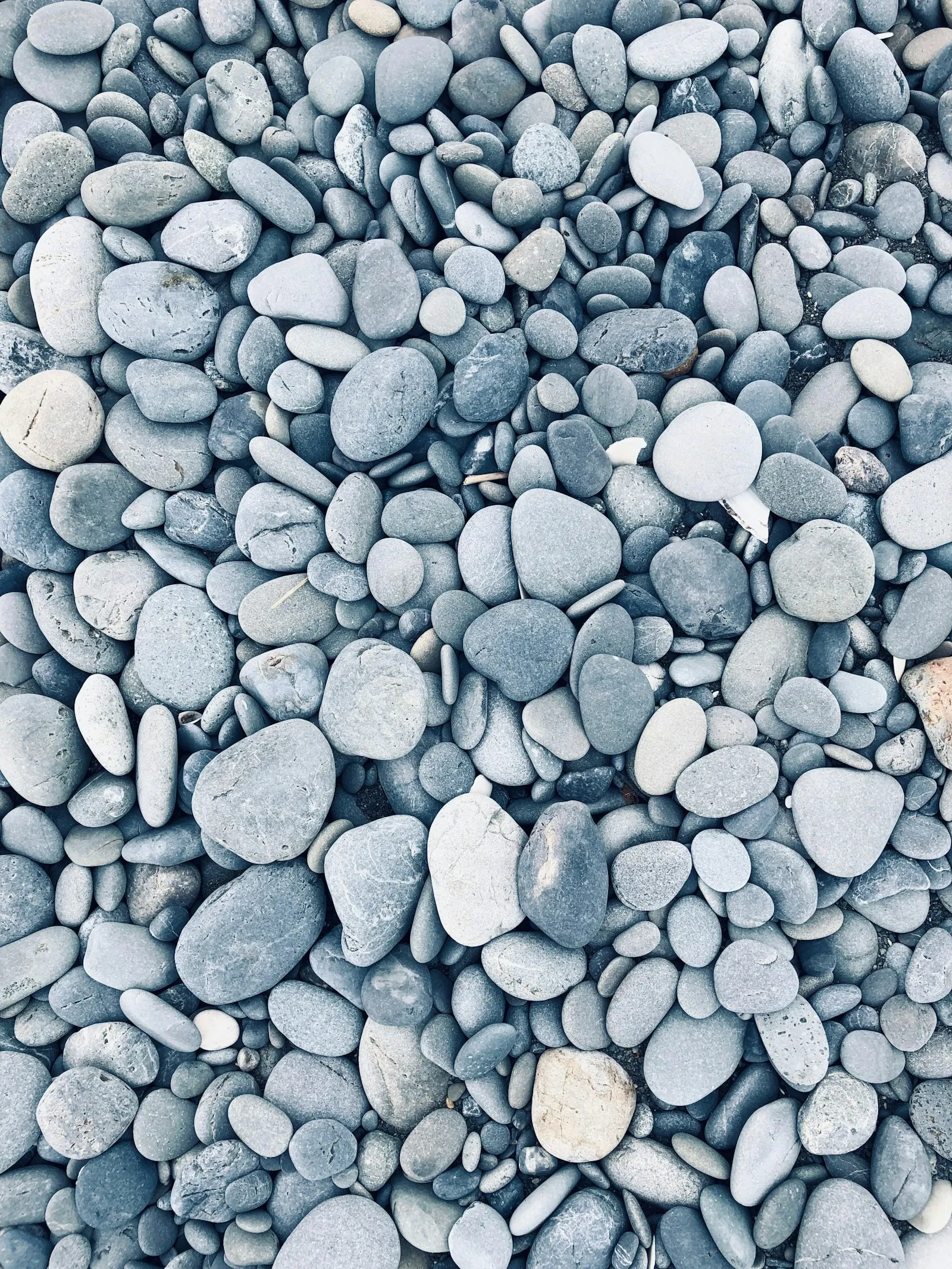 Smooth pale pebbles in soft daylight.