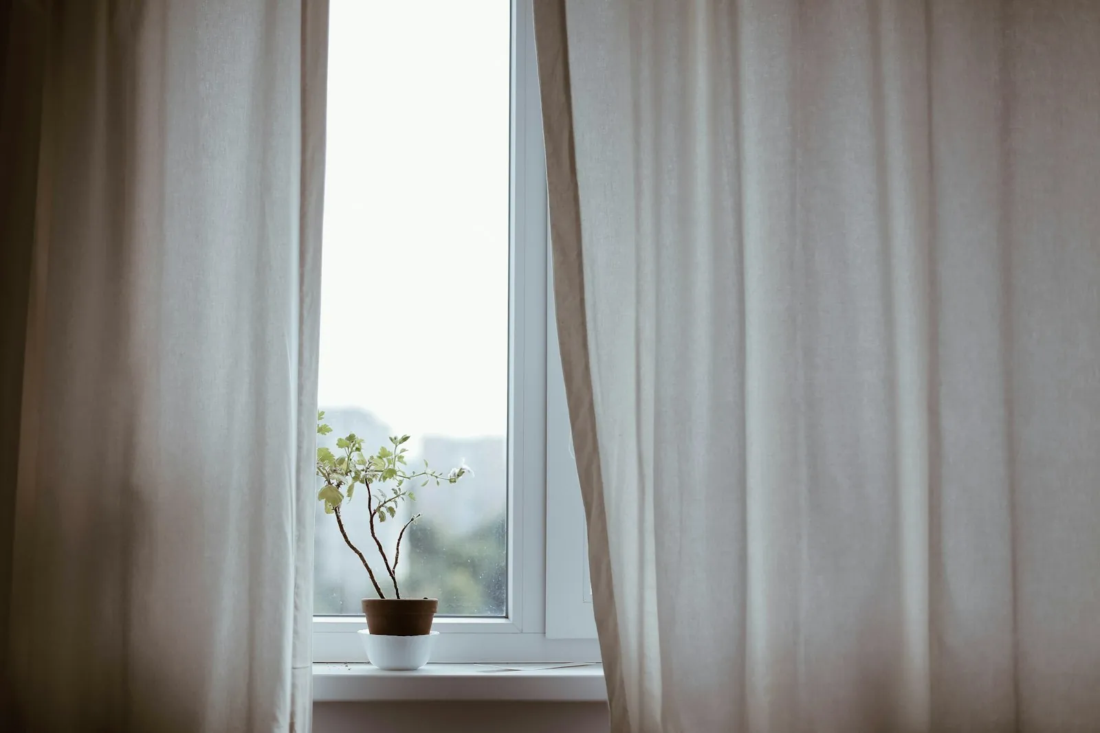 Curtains not quite meeting, illustrating lids that do not fully close.